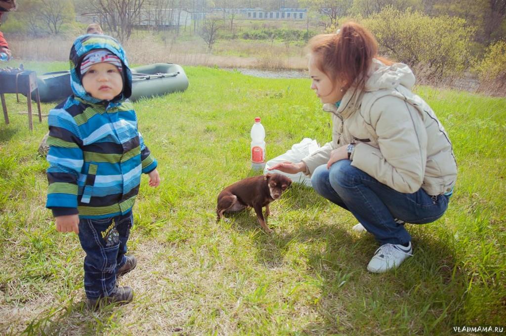 на шашлыках с друзьями на природе