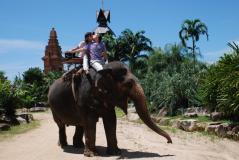 Тайланд, 2007 год.  Всем семейством на слоне. Правда, про то, что с нами Зоя, мы ещё не догадывались.
