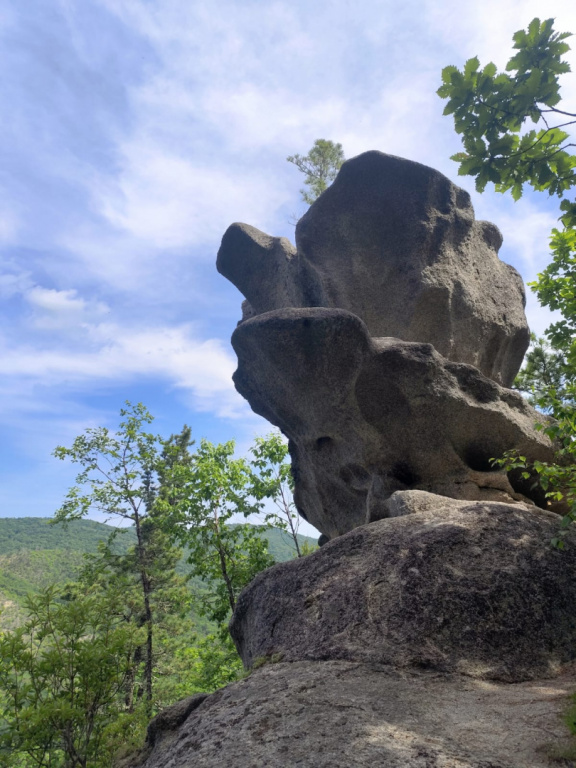 WhatsApp Image 2025-07-11 at 19.56.51