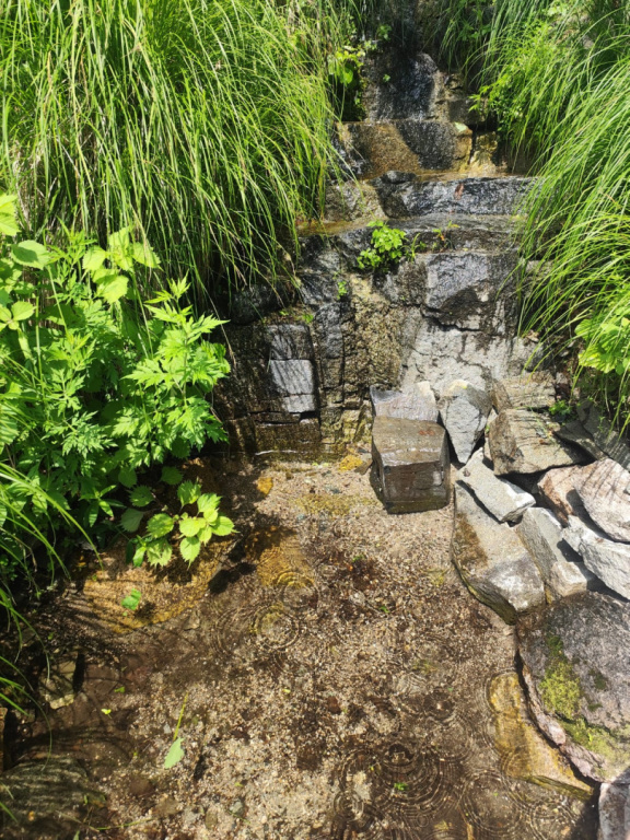 4c00fc73-d0c2-4817-a5c8-f3737e237558