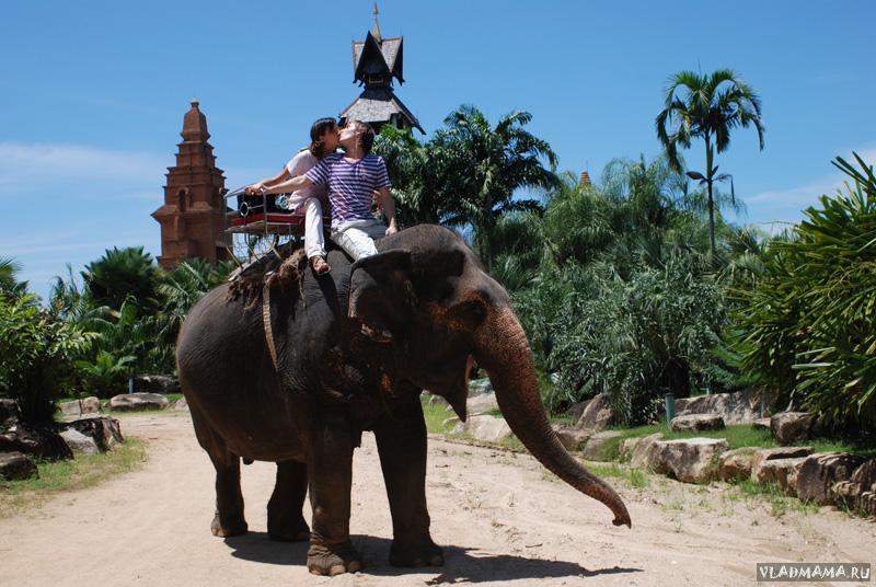 Тайланд, 2007 год.  Всем семейством на слоне. Правда, про то, что с нами Зоя, мы ещё не догадывались.
