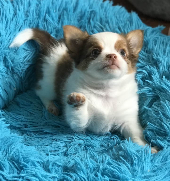 FD2DD734-A022-4DC8-AC9A-32E0200220A5