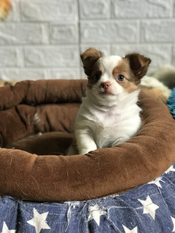 F495BD5B-28F3-461C-B4B8-219712DD5CDA