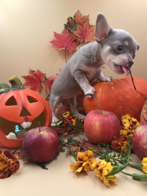 C64DC15E-E2AB-4930-9612-98216AEA28D1