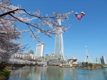 Lotte Tower и Lotte World