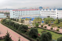 Кампус Профессионального техникума города Суйфэньхэ
