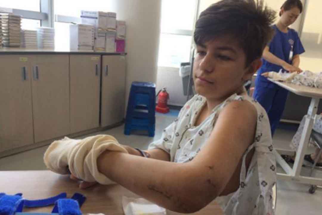 Процедуры у Даниила Процедуры у Даниила