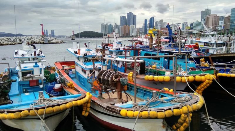 Корея, район пляжа Хеундэ (Haeundae) Корея, район пляжа Хеундэ (Haeundae)